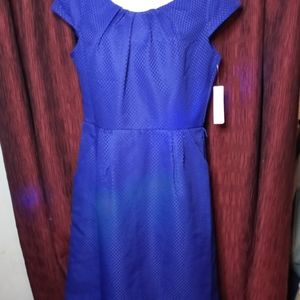 Nwt Shelby + palmer s10 blue dress with pockets